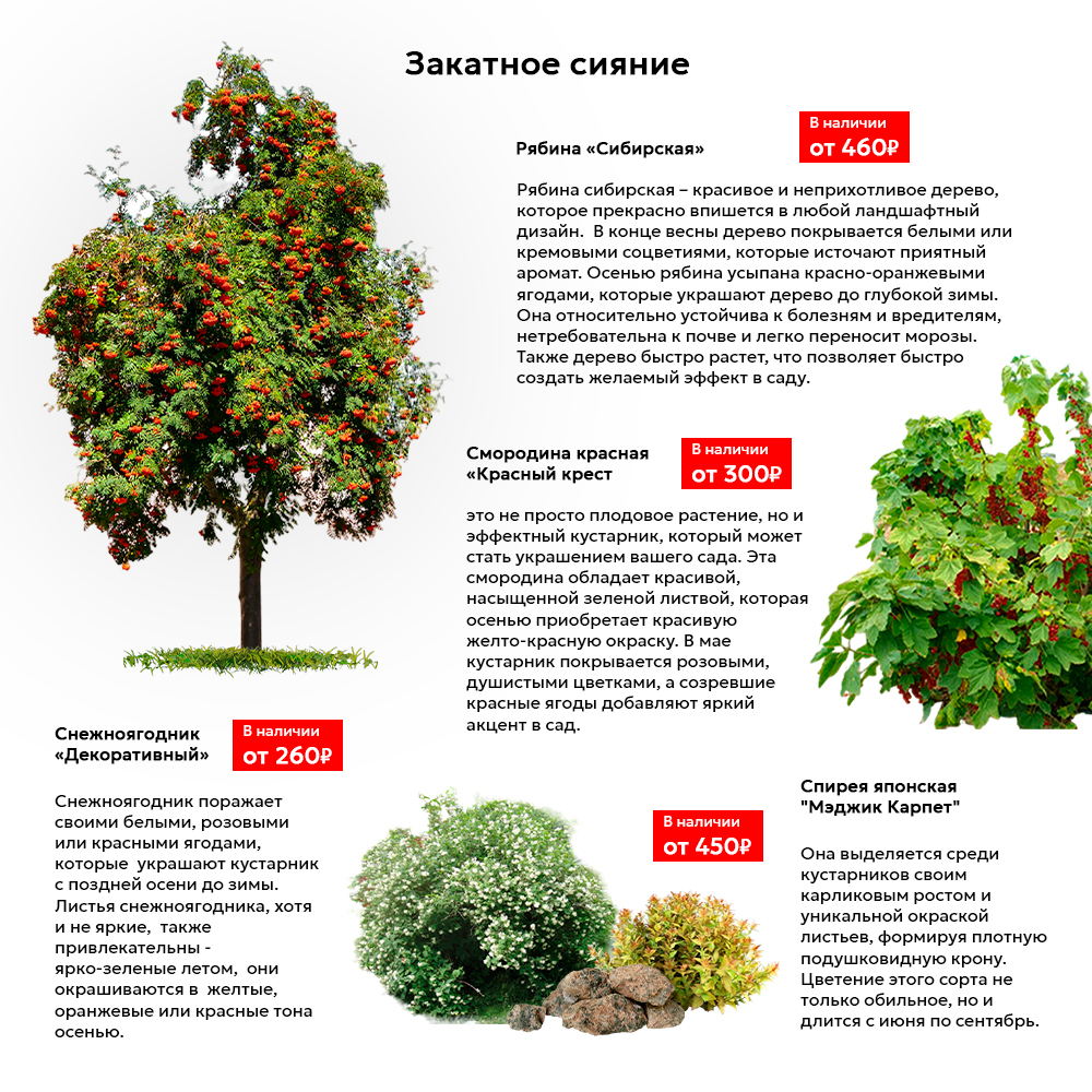Описание2.jpg