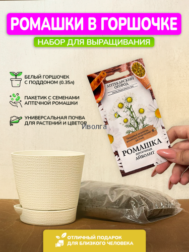 Набор для выращивания "Ромашка"